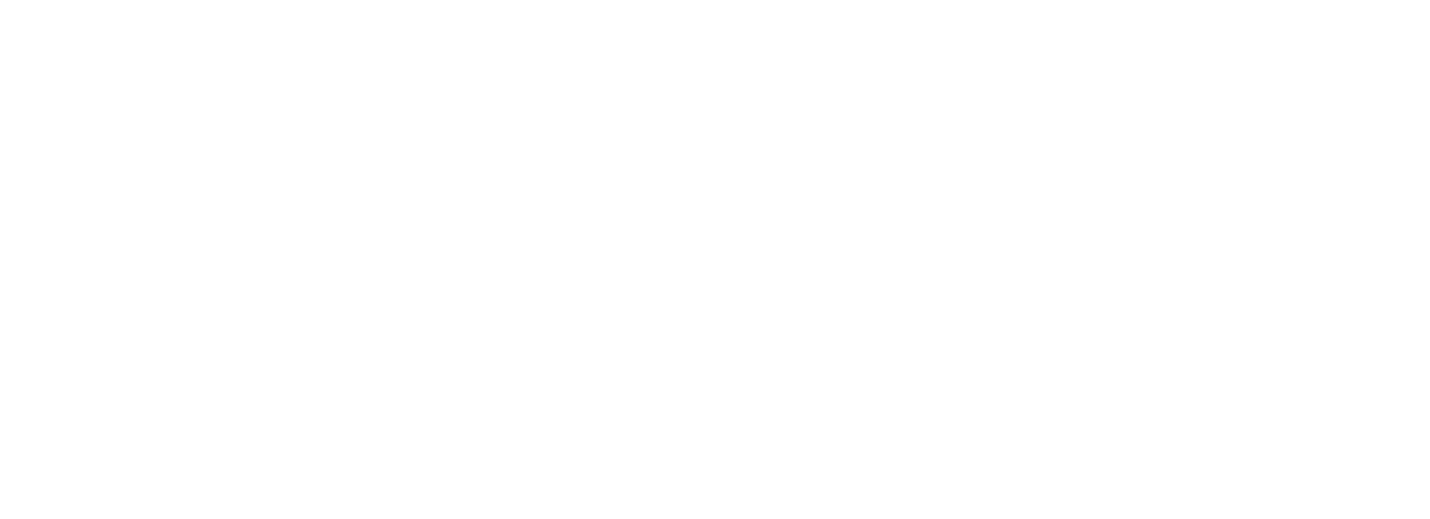 ThePicksHouse Italia